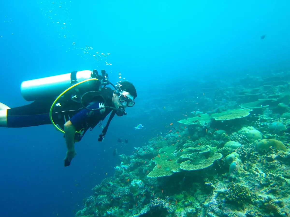 A Diver's Checklist for Buoyancy Control Around Fragile Coral Reefs