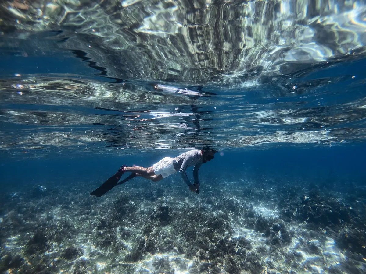 Snorkel or Scuba? Comparing Two Ways to Explore Coral Reefs